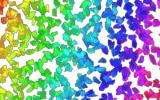 Fracture