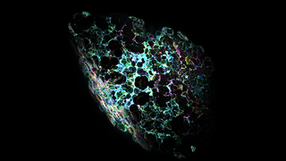 Geode