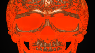 Skull