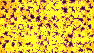 Subsurface Cross Field