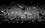 Warp